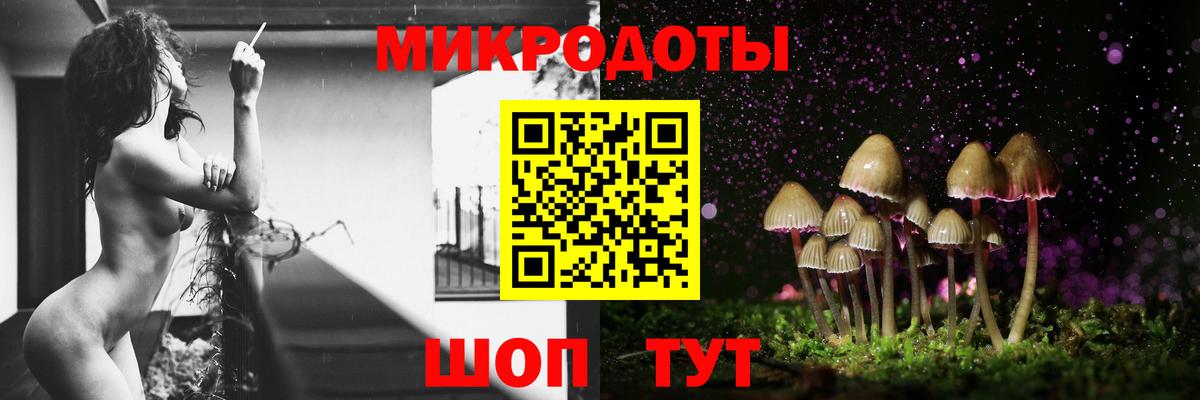 Галлюциногенные грибы Psilocybe Усть-Илимск